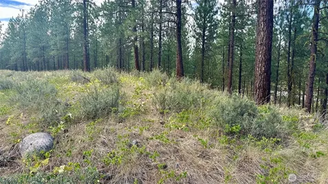 98 Larkspur Drive Winthrop WA 98862