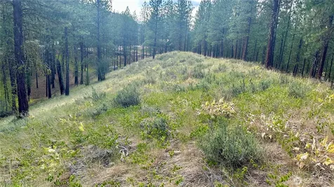 98 Larkspur Drive Winthrop WA 98862