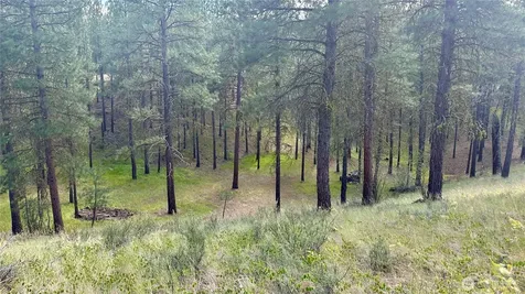 98 Larkspur Drive Winthrop WA 98862