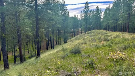 98 Larkspur Drive Winthrop WA 98862