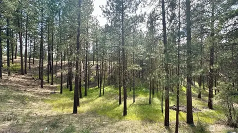 98 Larkspur Drive Winthrop WA 98862