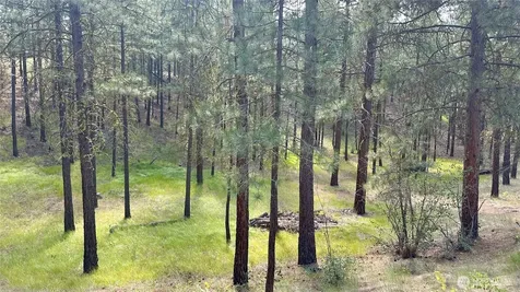 98 Larkspur Drive Winthrop WA 98862
