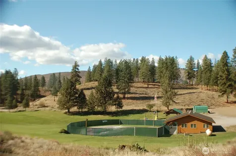 98 Larkspur Drive Winthrop WA 98862