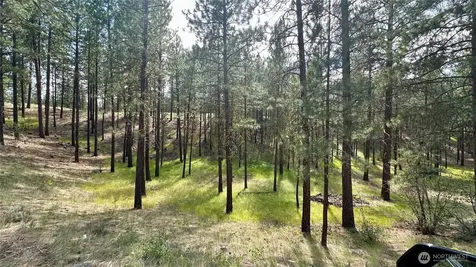 98 Larkspur Drive Winthrop WA 98862