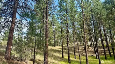 98 Larkspur Drive Winthrop WA 98862