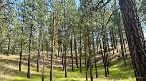 98 Larkspur Drive Winthrop WA 98862