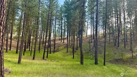 98 Larkspur Drive Winthrop WA 98862