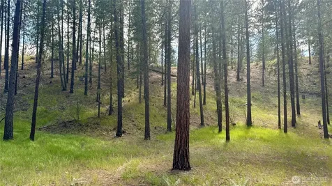 98 Larkspur Drive Winthrop WA 98862
