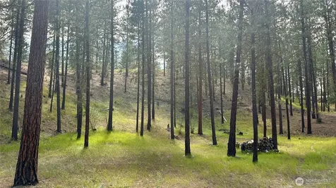 98 Larkspur Drive Winthrop WA 98862