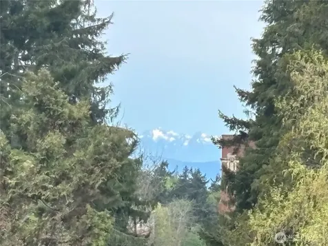 3435 California Avenue SW Seattle WA 98116