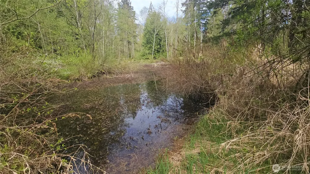2160 H Street Road Blaine WA 98230
