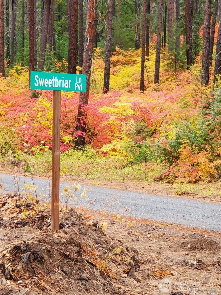 570 Sweetbriar Lane Leavenworth WA 98826