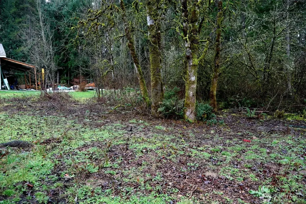 306 Minkler Road Winlock WA 98596