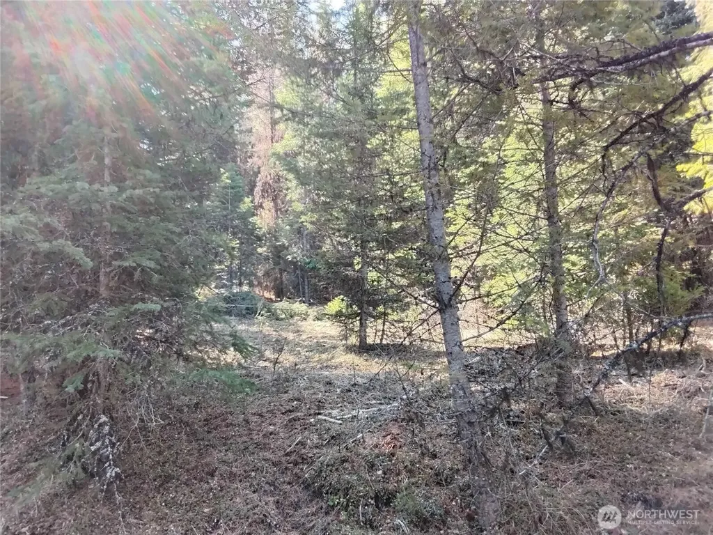 44 Trapline Loop Road Oroville WA 98844
