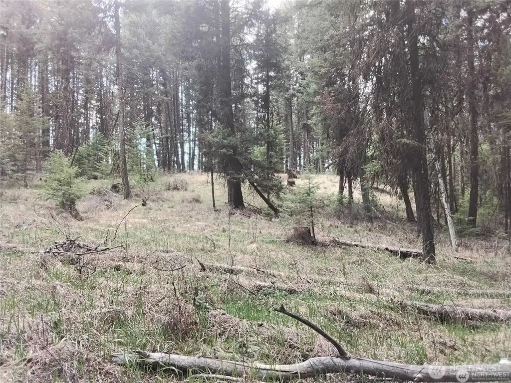 44 Trapline Loop Road Oroville WA 98844