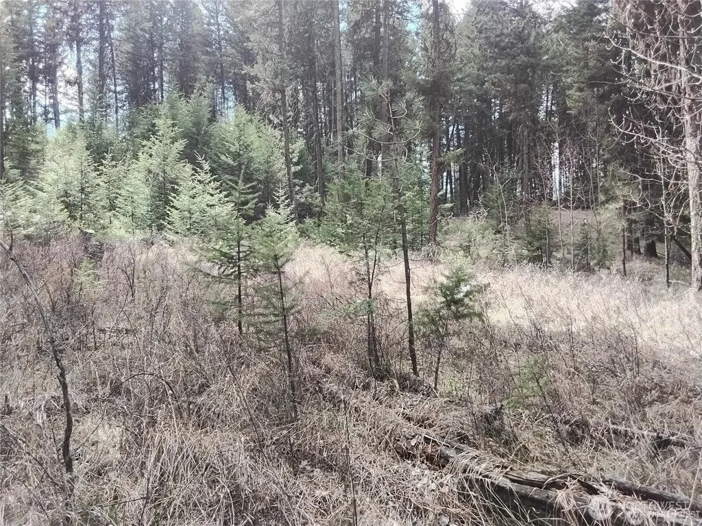44 Trapline Loop Road Oroville WA 98844