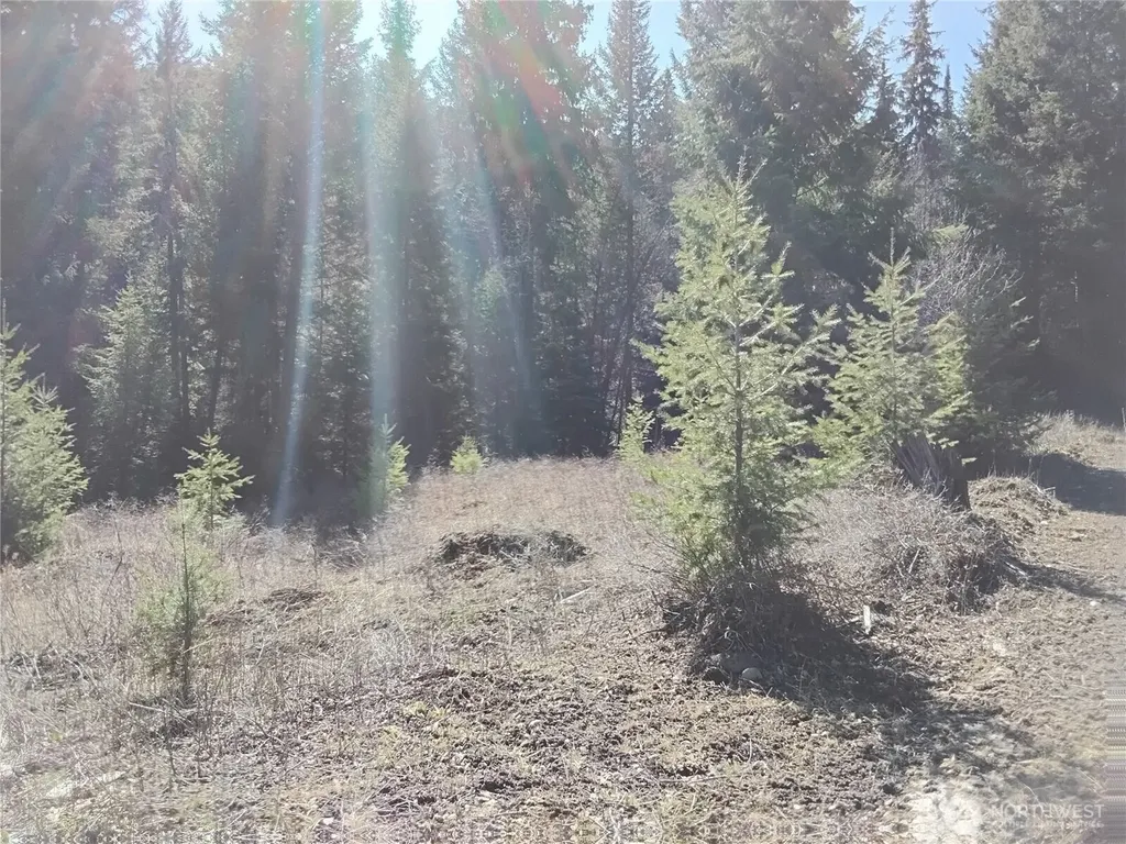 44 Trapline Loop Road Oroville WA 98844
