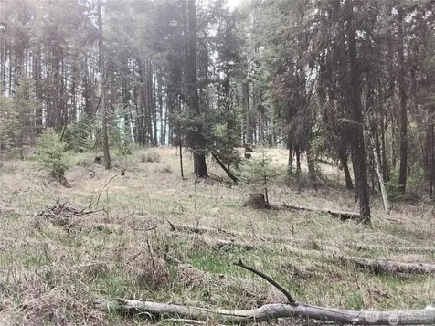 44 Trapline Loop Road Oroville WA 98844