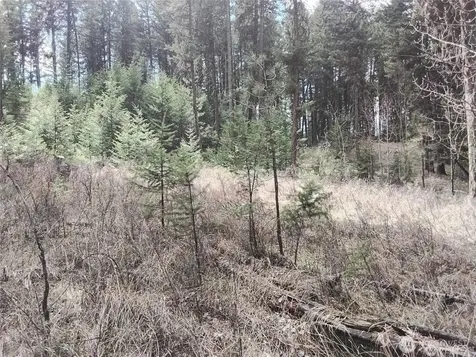 44 Trapline Loop Road Oroville WA 98844