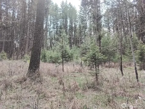 44 Trapline Loop Road Oroville WA 98844