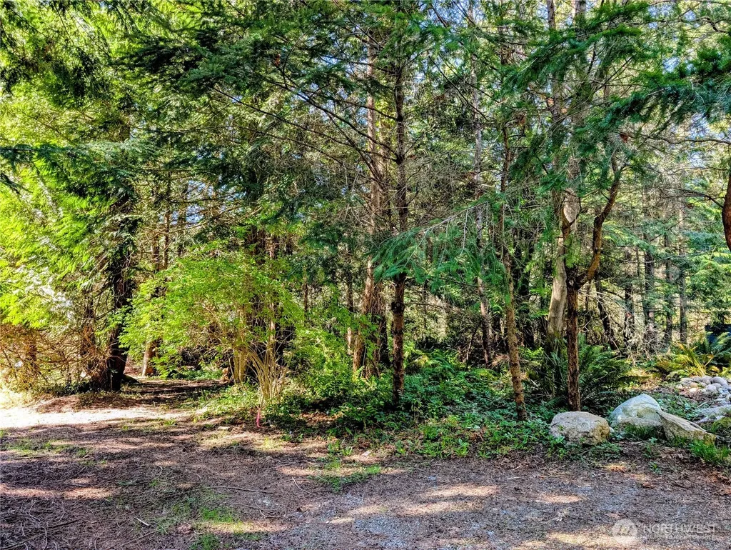 1940 N Cedar Park Drive Point Roberts WA 98281
