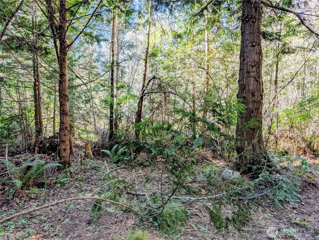 1940 N Cedar Park Drive Point Roberts WA 98281
