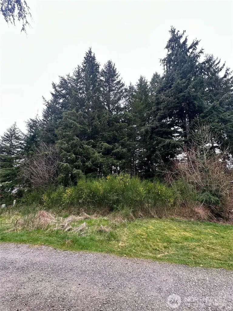 746 Trillium Avenue Forks WA 98331
