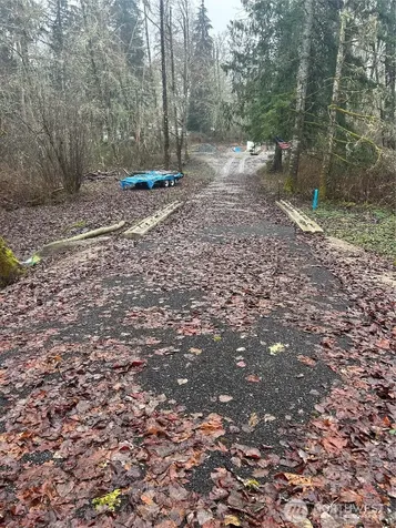 5214 Lerch Road Snohomish WA 98290