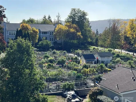 4081 224th Lane SE Issaquah WA 98029