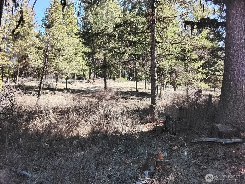 0 Cougar Loop Drive Tonasket WA 98855