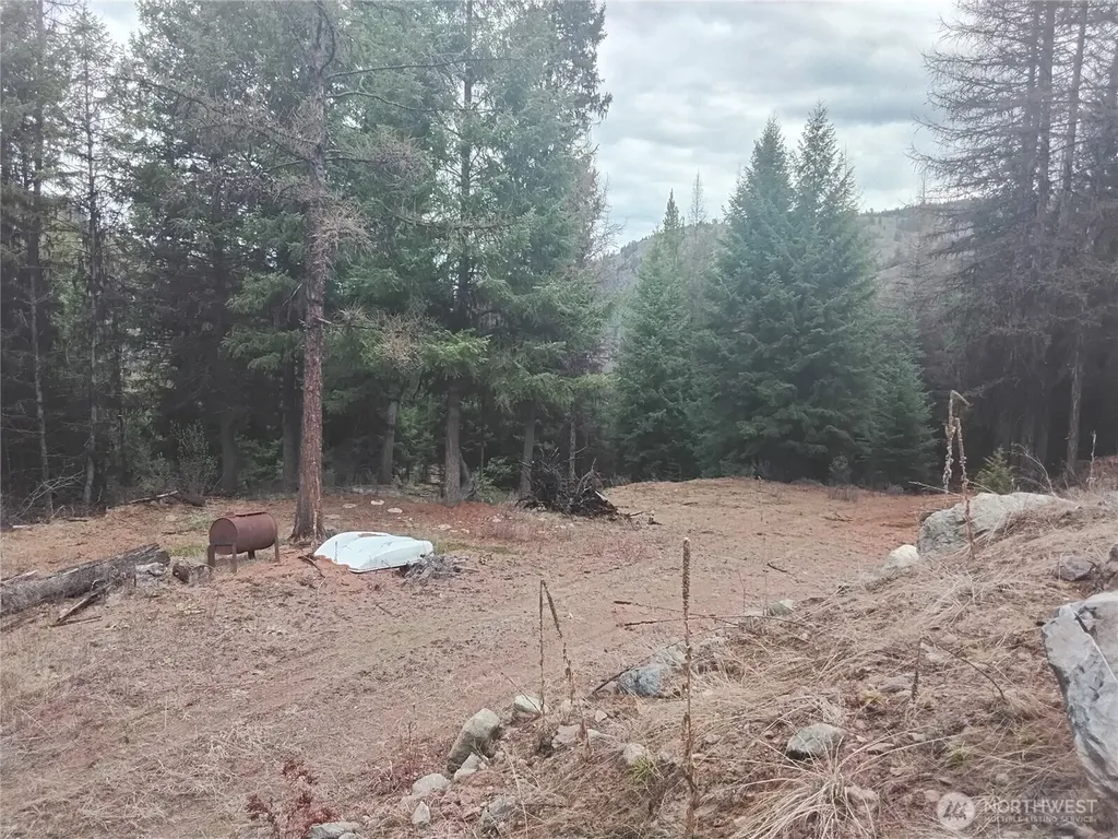 0 Cougar Loop Drive Tonasket WA 98855