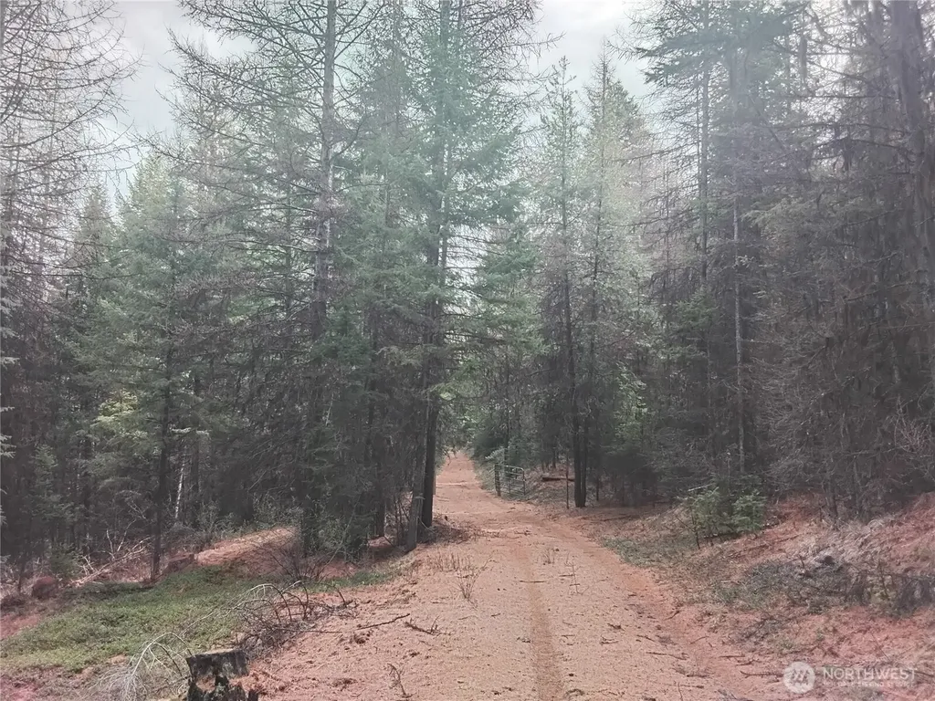 0 Cougar Loop Drive Tonasket WA 98855