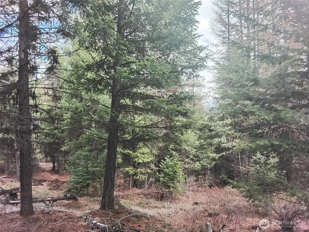 0 Cougar Loop Drive Tonasket WA 98855