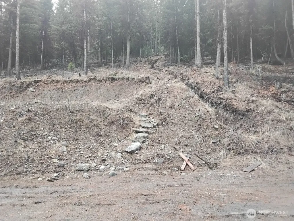 0 Cougar Loop Drive Tonasket WA 98855