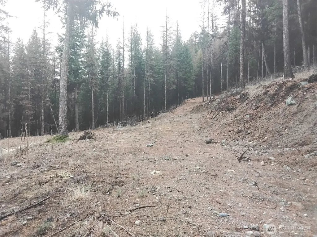 0 Cougar Loop Drive Tonasket WA 98855