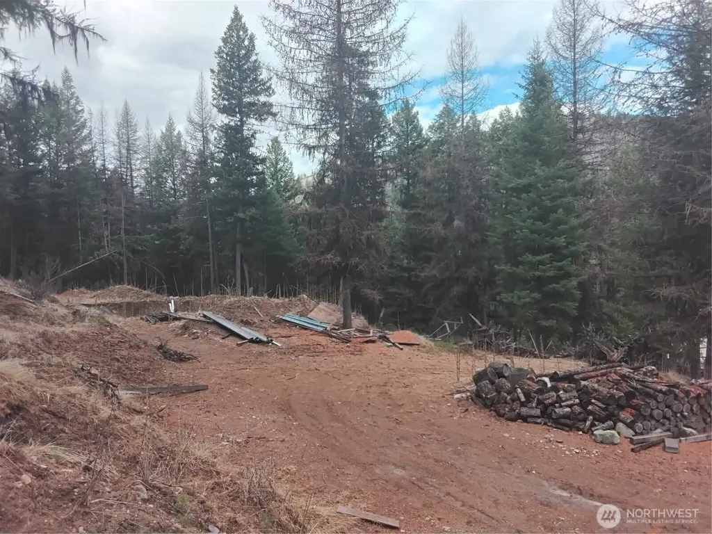 0 Cougar Loop Drive Tonasket WA 98855