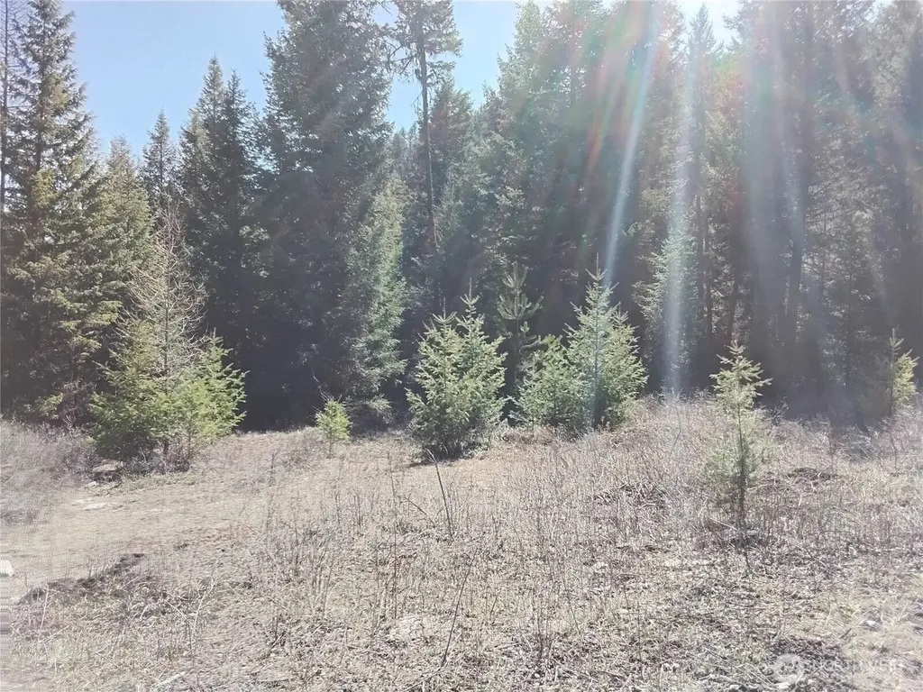 0 Cougar Loop Drive Tonasket WA 98855