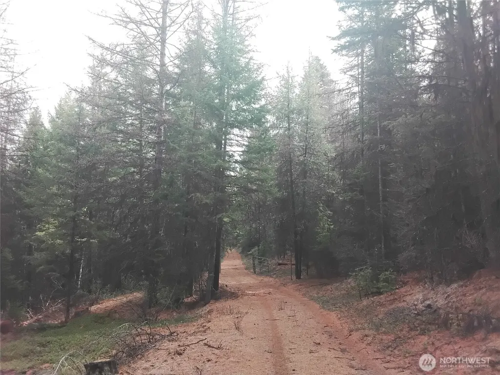 0 Cougar Loop Drive Tonasket WA 98855