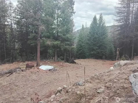 0 Cougar Loop Drive Tonasket WA 98855