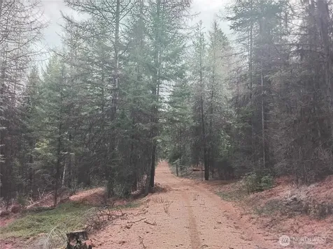 0 Cougar Loop Drive Tonasket WA 98855