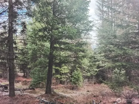 0 Cougar Loop Drive Tonasket WA 98855