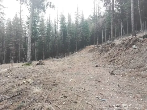 0 Cougar Loop Drive Tonasket WA 98855