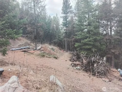 0 Cougar Loop Drive Tonasket WA 98855