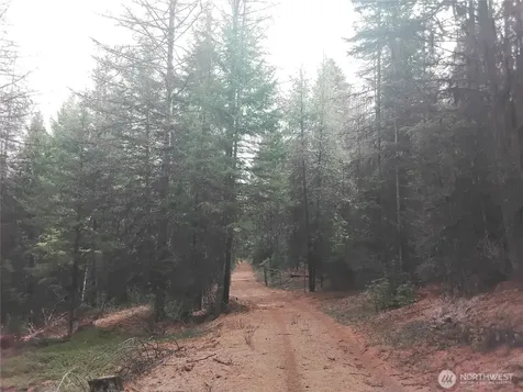 0 Cougar Loop Drive Tonasket WA 98855