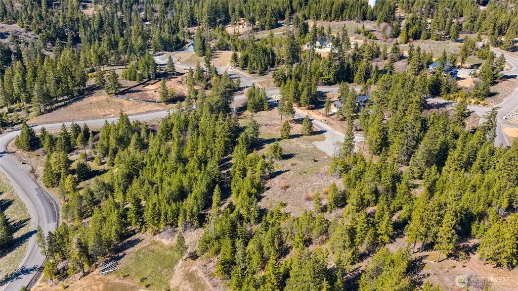 81 Forest Ridge (Lot 81) Drive Cle Elum WA 98922