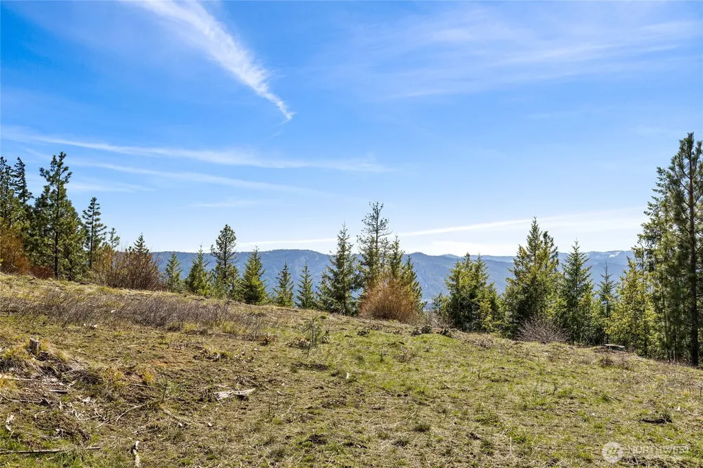 81 Forest Ridge (Lot 81) Drive Cle Elum WA 98922