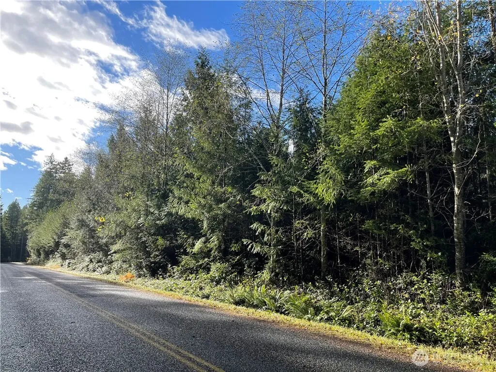 50 Point Whitney Road Brinnon WA 98320