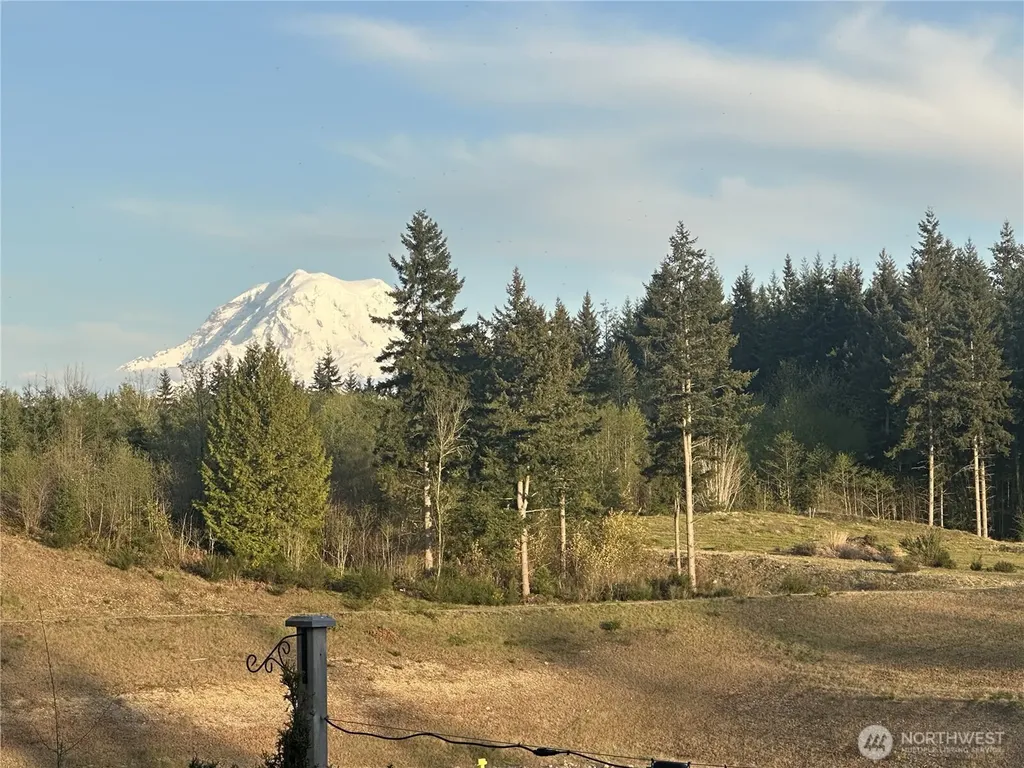 15528 174th Avenue Ct E Bonney Lake WA 98391