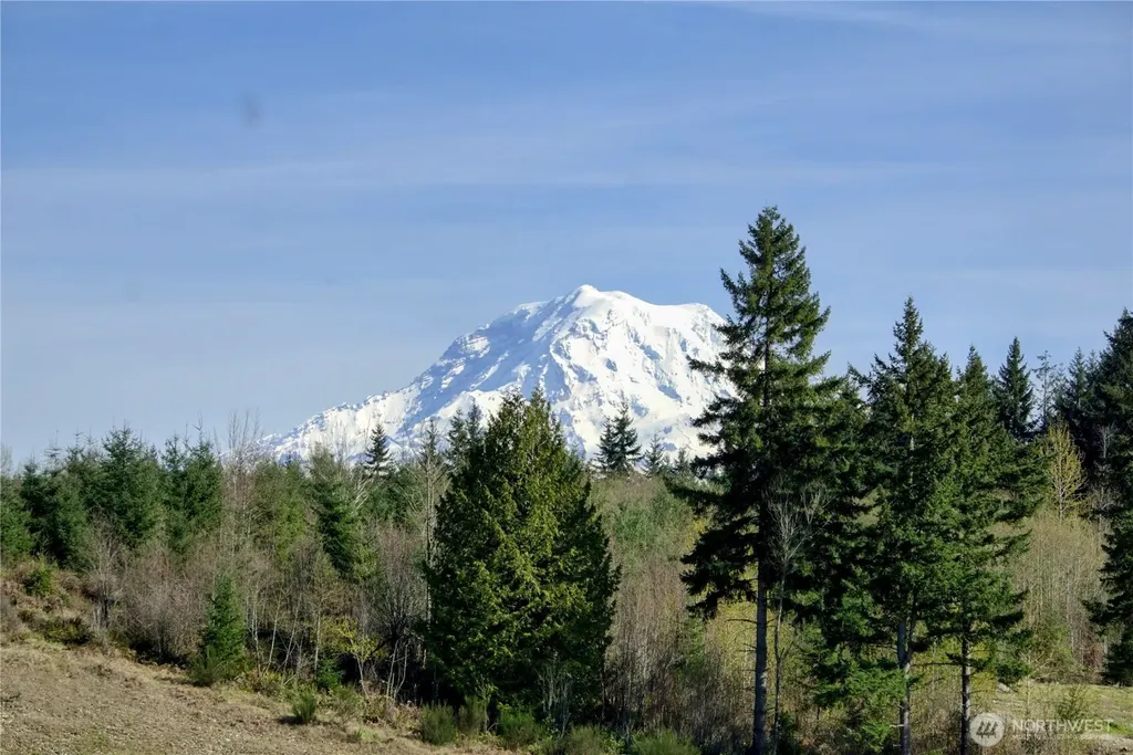 15528 174th Avenue Ct E Bonney Lake WA 98391