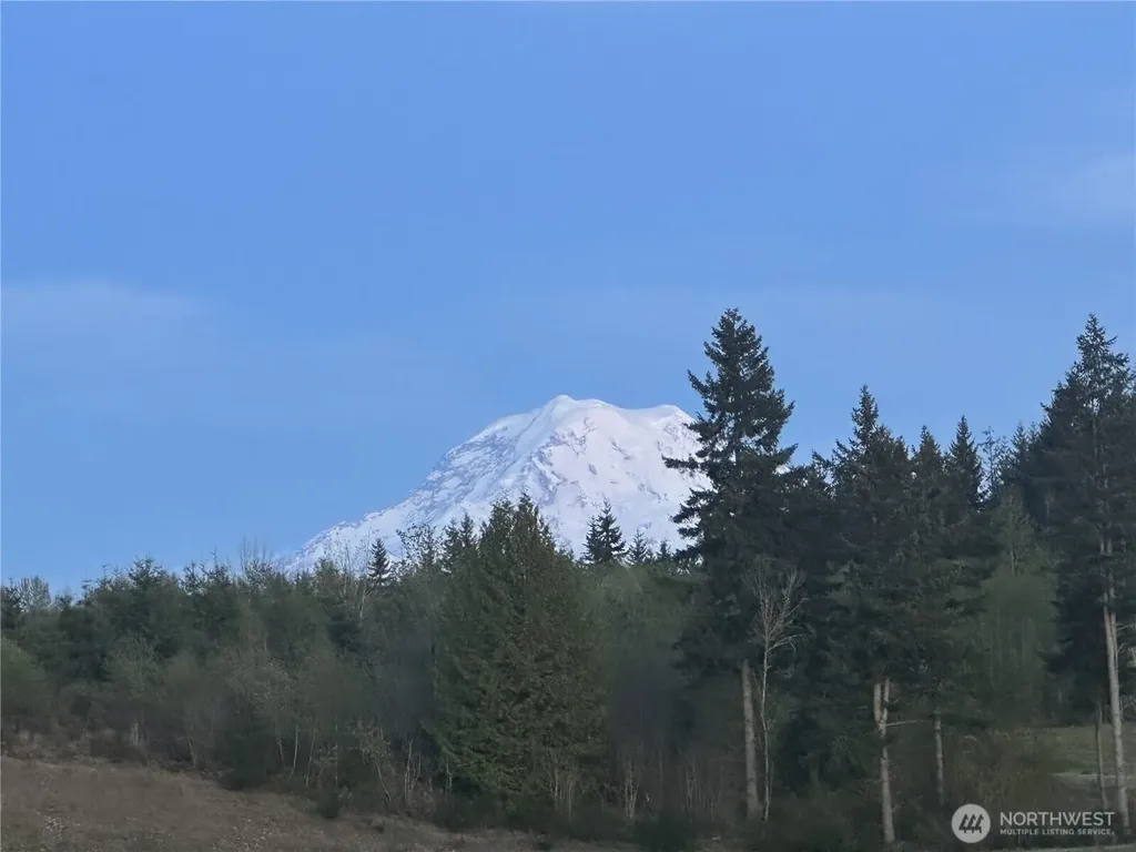 15528 174th Avenue Ct E Bonney Lake WA 98391
